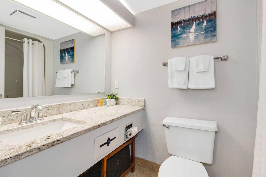 Upscale Oceanview 1Br Dog Friendly! 1104 Leilighet Myrtle Beach Eksteriør bilde